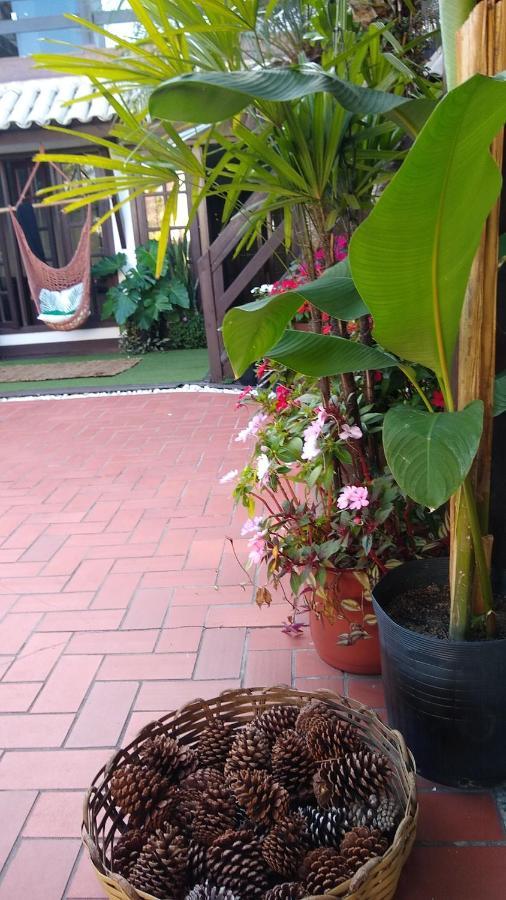 Guesthouse Mata Da Praia فيتوريا المظهر الخارجي الصورة