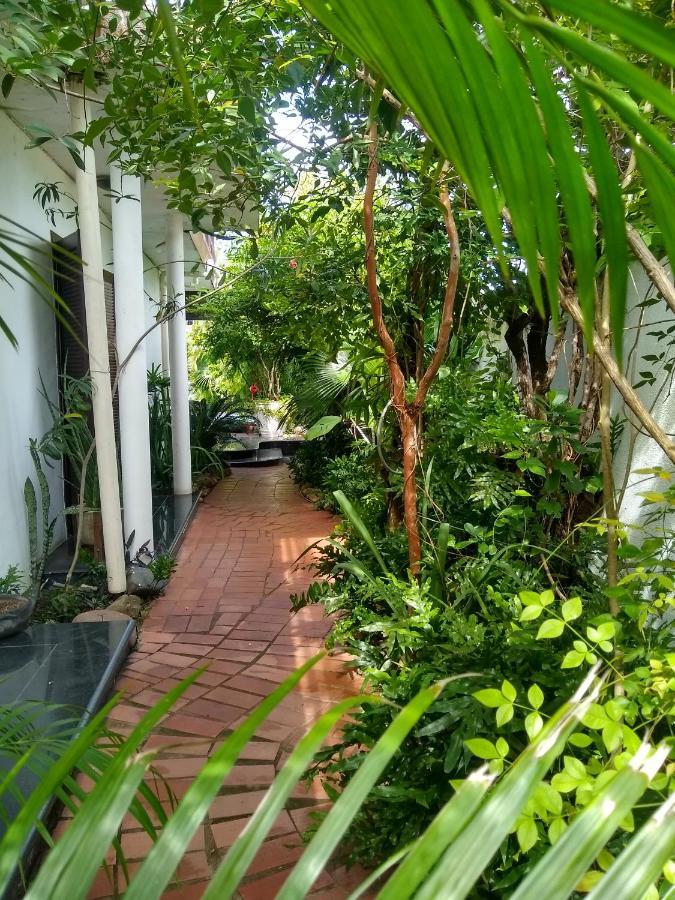 Guesthouse Mata Da Praia فيتوريا المظهر الخارجي الصورة
